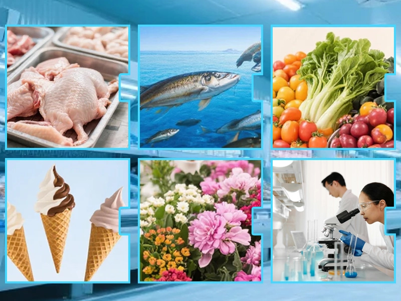 ccu features 800x600 2