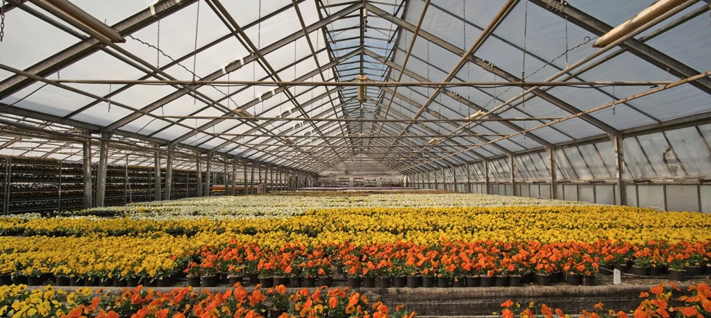 agriculture